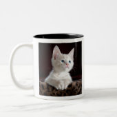 Tasse 2 Couleurs kittens (Gauche)