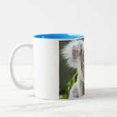Tasse 2 Couleurs Koala Bears (Gauche)