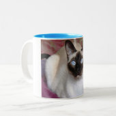 TASSE 2 COULEURS LA BEAUTÉ DE SIAMESE (Devant gauche)