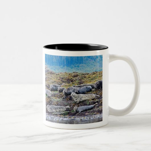 Tasse 2 Couleurs La famille des lions de mer (Droit)