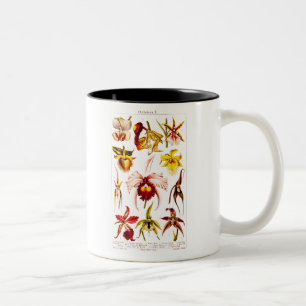 Tasse 2 Couleurs La fleur 1911 d'orchidée de cru fleurit