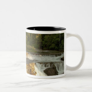 Tasse 2 Couleurs La lumière du matin accueille Swiftcurrent Falls d