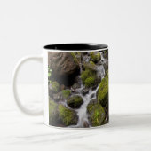 Tasse 2 Couleurs La mousse a couvert des roches d'eau et de (Gauche)