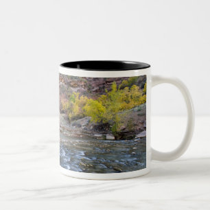 Tasse 2 Couleurs La rivière Virgin en automne dans le Parc nationa
