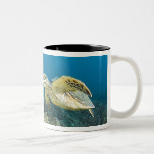 Tasse 2 Couleurs La tortue verte, (Chelonia mydas), est la 3