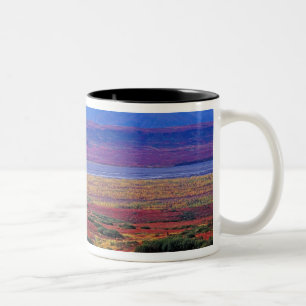 Tasse 2 Couleurs La toundra du parc national de Denali à la fin