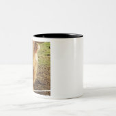 Tasse 2 Couleurs La vache des Highlands (Centre)