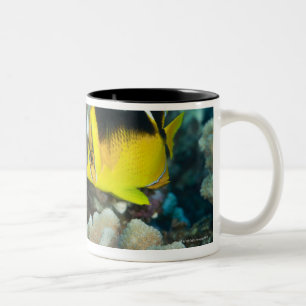 Tasse 2 Couleurs La vie sous-marine ; POISSONS :  Une paire de