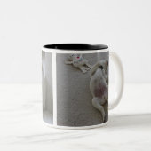 TASSE 2 COULEURS LABORATOIRE SOMNOLENT (Devant droit)