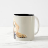 Tasse 2 Couleurs Labrador doré (Devant droit)