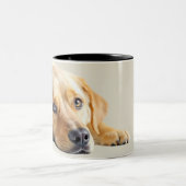 Tasse 2 Couleurs Labrador doré (Centre)