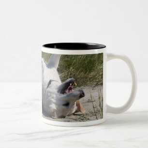 Tasse 2 Couleurs Labrador retriever jaune