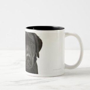 Tasse 2 Couleurs Labrador retriever noir