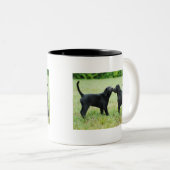 Tasse 2 Couleurs Labrador retriever noir (Devant droit)