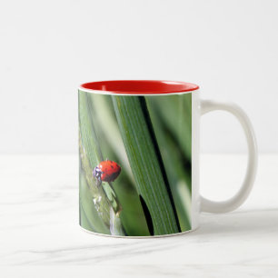 Tasse 2 Couleurs Ladybug (Coccinellidae)