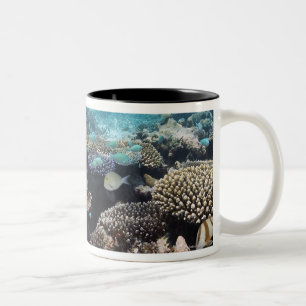 Tasse 2 Couleurs Lagune tropicale dans l'atoll du sud d'Ari