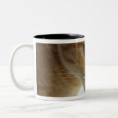 Tasse 2 Couleurs Lait boisson de chat (Gauche)