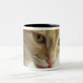 Tasse 2 Couleurs Lait boisson de chat (Centre)