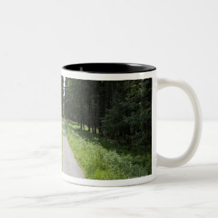 Tasse 2 Couleurs L'Allemagne, Thuringe, chemin dans la forêt