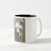 Tasse 2 Couleurs Lama ! ! ! (Devant droit)