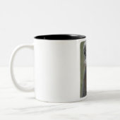 Tasse 2 Couleurs Lama ! ! ! (Gauche)