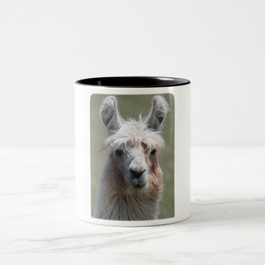 Tasse 2 Couleurs Lama ! ! ! (Centre)