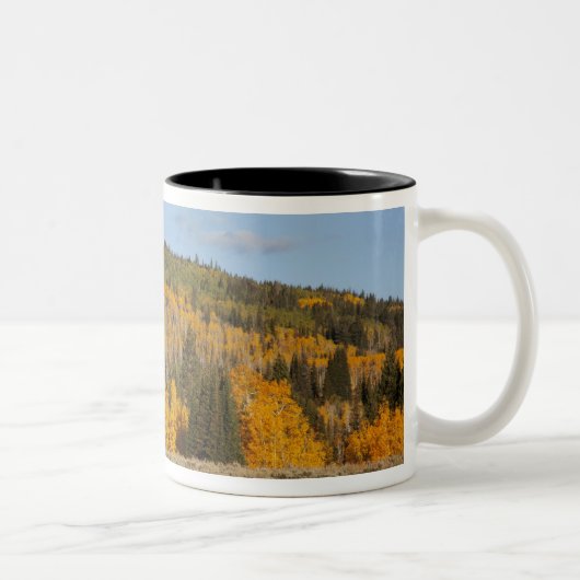 Tasse 2 Couleurs Lambert Hollow, trembles (Droit)