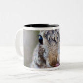 Tasse 2 Couleurs Lapin de lapin du Texas (Devant gauche)