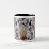 Tasse 2 Couleurs Lapin de lapin du Texas (Centre)