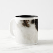 Tasse 2 Couleurs Lapin Wooly du Jersey (Devant gauche)