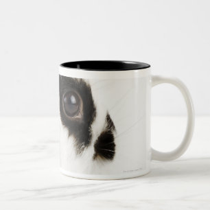 Tasse 2 Couleurs Lapin Wooly du Jersey