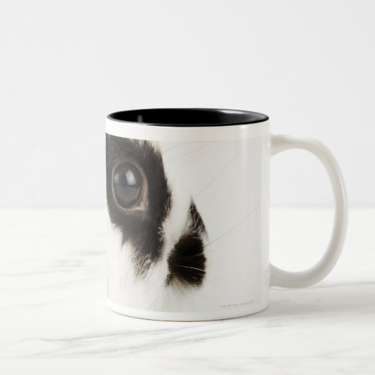 Tasse 2 Couleurs Lapin Wooly du Jersey (Droit)