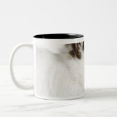 Tasse 2 Couleurs Lapin Wooly du Jersey (Gauche)