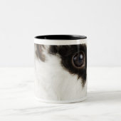 Tasse 2 Couleurs Lapin Wooly du Jersey (Centre)