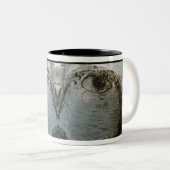 Tasse 2 Couleurs L'arbre observe II (Devant droit)