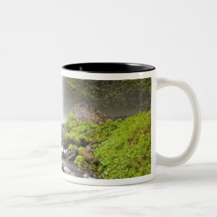 Tasse 2 Couleurs Latourell Falls, Gorge du Columbia, Oregon,