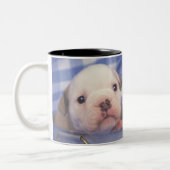 Tasse 2 Couleurs Le bouledogue, souvent appelé le bouledogue (Gauche)