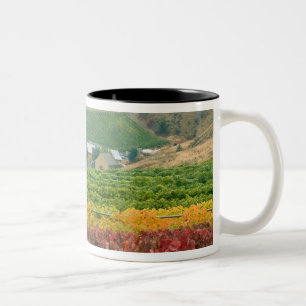 Tasse 2 Couleurs Le brouillard se glisse sur le vignoble Gehring Br