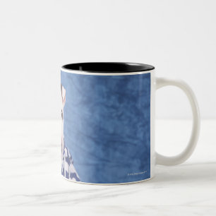 Tasse 2 Couleurs Le bull-terrier est une race de chien dans