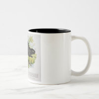 Le castor, pub éducatif d'illustration. par le S