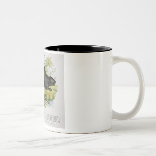Tasse 2 Couleurs Le castor, pub éducatif d'illustration. par le S (Droit)