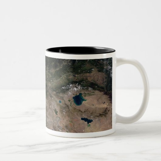 Tasse 2 Couleurs Le changement de végétation (Droit)