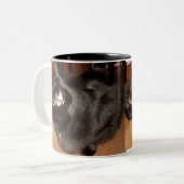 TASSE 2 COULEURS LE CHAT NOIR (Devant gauche)