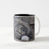 Tasse 2 Couleurs Le chat tigré sur vigilant préparent pour sauter (Devant droit)