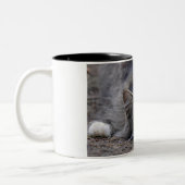 Tasse 2 Couleurs Le chat tigré sur vigilant préparent pour sauter (Gauche)