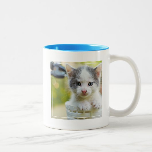 Tasse 2 Couleurs Le chaton monte un vélo (Droit)