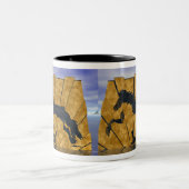 Tasse 2 Couleurs Le cheval islandais Golden Tolt (Centre)