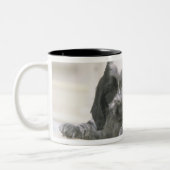 Tasse 2 Couleurs Le cocker anglais est une race de chien. Il (Gauche)