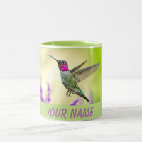 Le colibri d'Anna en vol