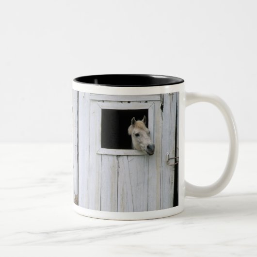 Tasse 2 Couleurs Le collage de cheval dirigent la fenêtre de grange (Droit)